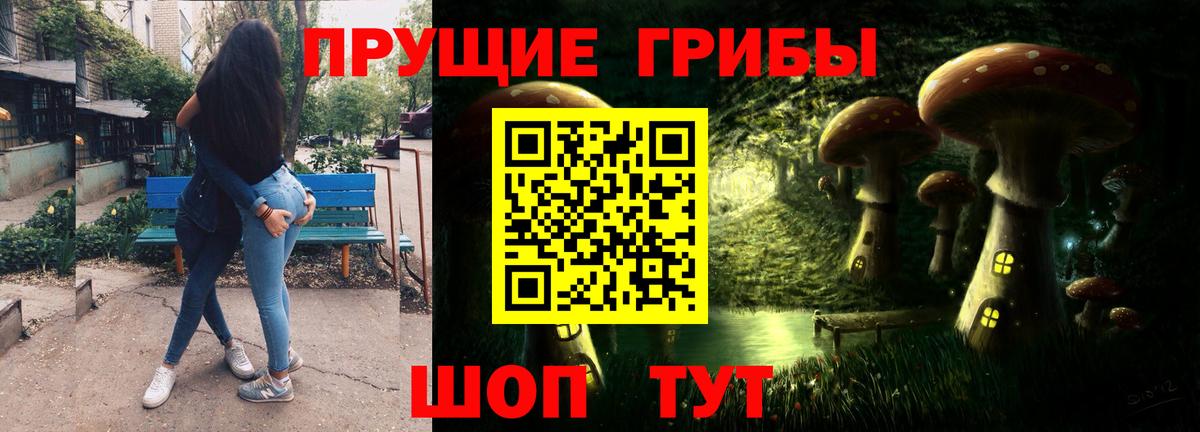 Псилоцибиновые грибы мухоморы  Галлюциногенные грибы Cubensis  где найти наркотики  Зерноград  Вход с VPN 